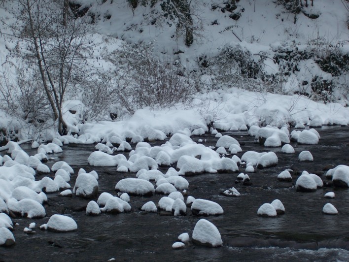  Image name: molino 2008 310.jpg 
 width: 708 pixel 
 height: 532 pixel 
 Size: 130165 bytes 
 Click to enlarge 